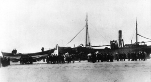 Honoria – 1901
