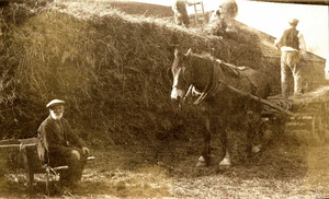 Haytime at Boulby Barns