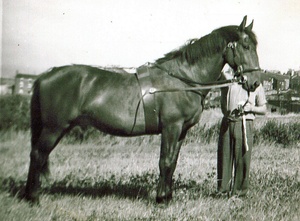 Earl Primrose