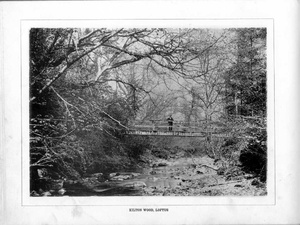Kilton Wood