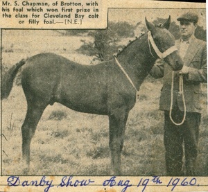Stanley Chapman Jnr Prizewinner Danby 1960
