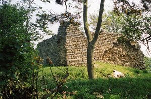The Walls