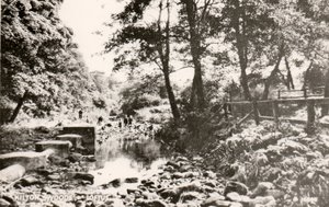 Kilton woods